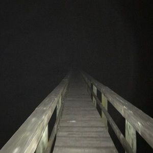 Meet your Posher, Shane